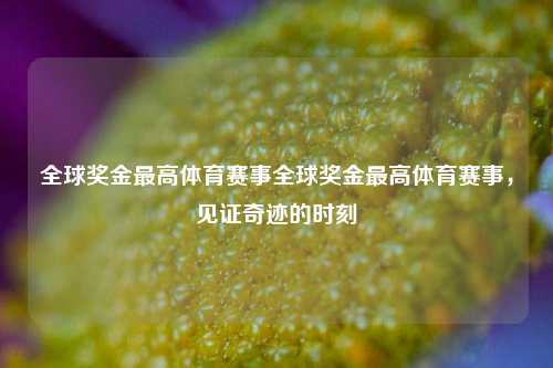 全球奖金最高体育赛事全球奖金最高体育赛事，见证奇迹的时刻