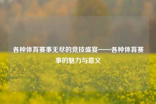 各种体育赛事无尽的竞技盛宴——各种体育赛事的魅力与意义