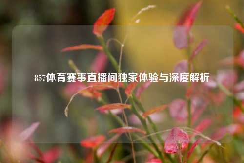 857体育赛事直播间独家体验与深度解析