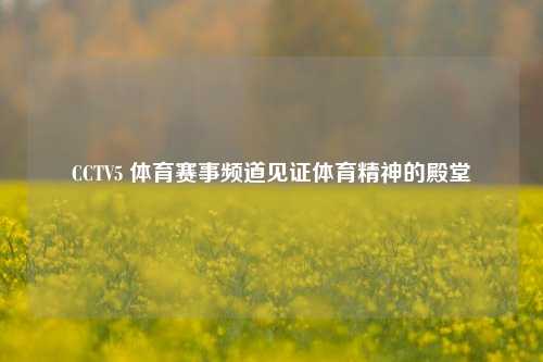 CCTV5 体育赛事频道见证体育精神的殿堂