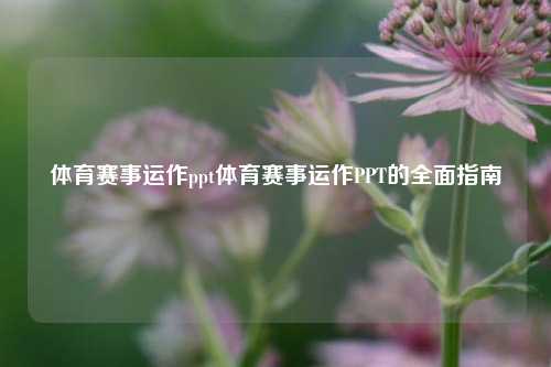 体育赛事运作ppt体育赛事运作PPT的全面指南