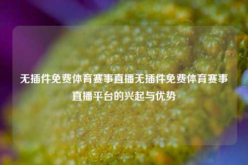 无插件免费体育赛事直播无插件免费体育赛事直播平台的兴起与优势