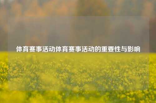 体育赛事活动体育赛事活动的重要性与影响
