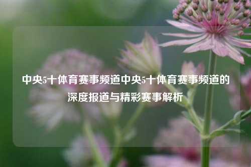 中央5十体育赛事频道中央5十体育赛事频道的深度报道与精彩赛事解析