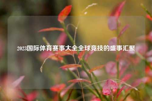 2023国际体育赛事大全全球竞技的盛事汇聚