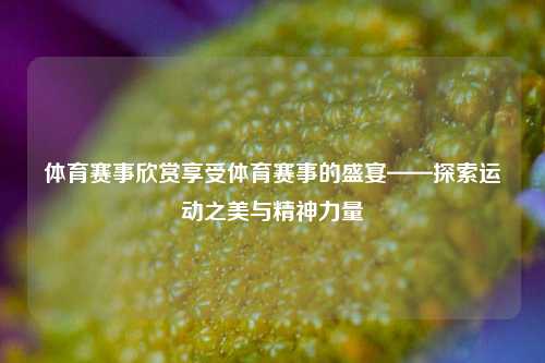 体育赛事欣赏享受体育赛事的盛宴——探索运动之美与精神力量