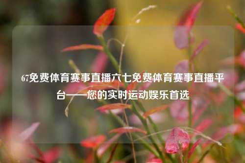 67免费体育赛事直播六七免费体育赛事直播平台——您的实时运动娱乐首选