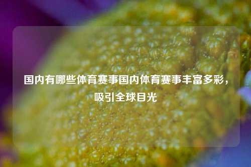 国内有哪些体育赛事国内体育赛事丰富多彩，吸引全球目光