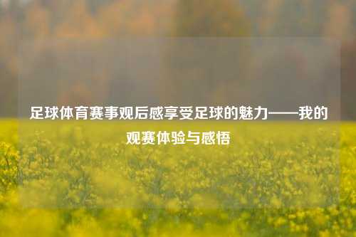 足球体育赛事观后感享受足球的魅力——我的观赛体验与感悟