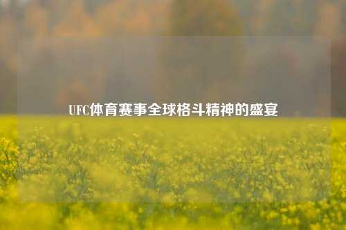 UFC体育赛事全球格斗精神的盛宴