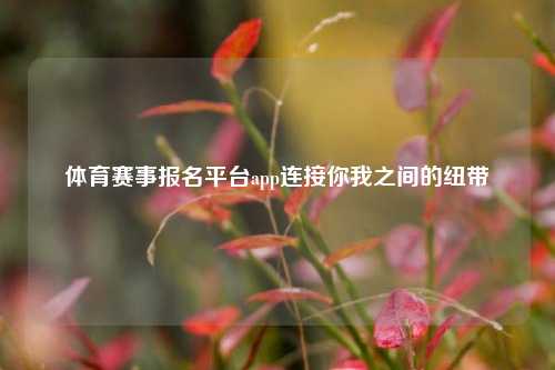 体育赛事报名平台app连接你我之间的纽带