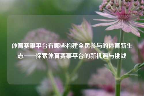 体育赛事平台有哪些构建全民参与的体育新生态——探索体育赛事平台的新机遇与挑战