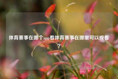 体育赛事在哪个app看体育赛事在哪里可以观看？