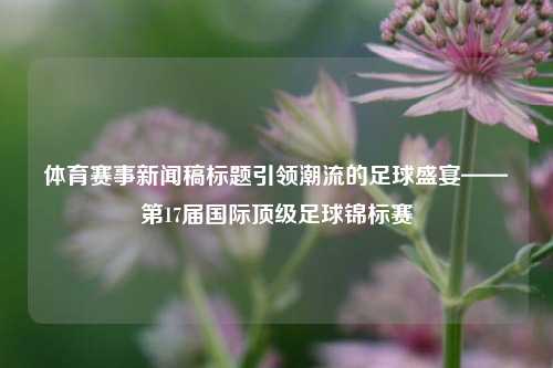 体育赛事新闻稿标题引领潮流的足球盛宴——第17届国际顶级足球锦标赛