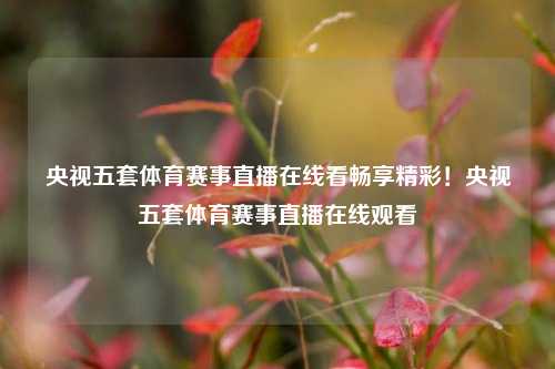 央视五套体育赛事直播在线看畅享精彩！央视五套体育赛事直播在线观看
