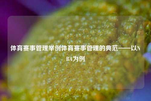 体育赛事管理举例体育赛事管理的典范——以NBA为例