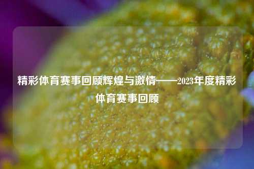 精彩体育赛事回顾辉煌与激情——2023年度精彩体育赛事回顾