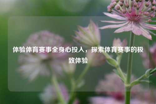 体验体育赛事全身心投入，探索体育赛事的极致体验