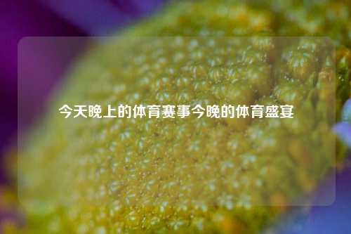 今天晚上的体育赛事今晚的体育盛宴
