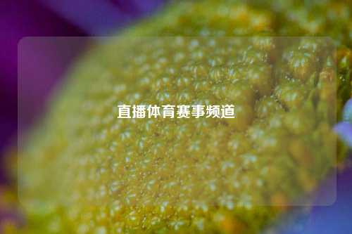 直播体育赛事频道