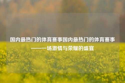 国内最热门的体育赛事国内最热门的体育赛事——一场激情与荣耀的盛宴