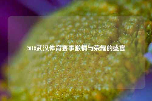 2018武汉体育赛事激情与荣耀的盛宴