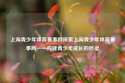 上海青少年体育赛事网探索上海青少年体育赛事网——构建青少年成长的桥梁