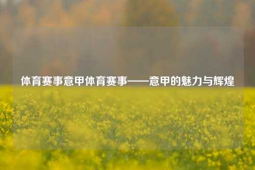体育赛事意甲体育赛事——意甲的魅力与辉煌