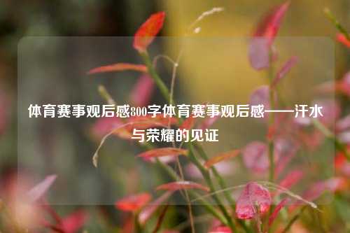 体育赛事观后感800字体育赛事观后感——汗水与荣耀的见证