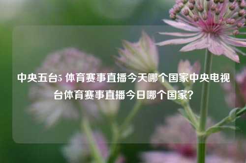 中央五台5 体育赛事直播今天哪个国家中央电视台体育赛事直播今日哪个国家？