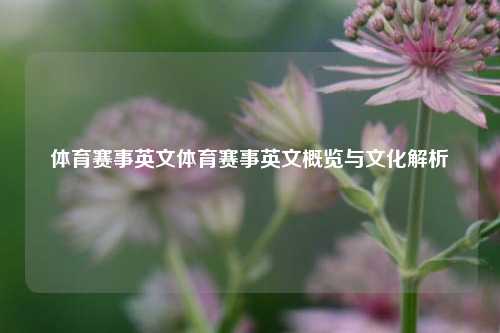 体育赛事英文体育赛事英文概览与文化解析