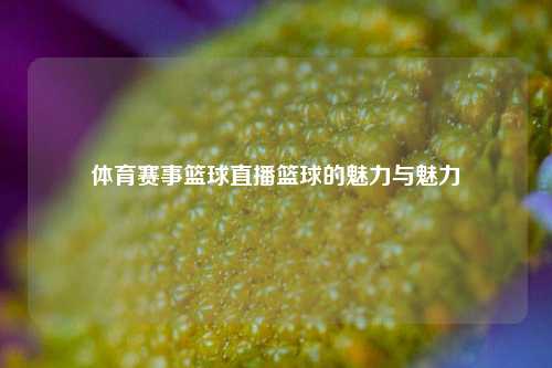 体育赛事篮球直播篮球的魅力与魅力