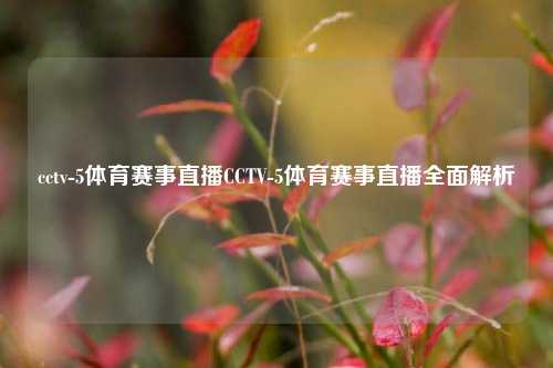 cctv-5体育赛事直播CCTV-5体育赛事直播全面解析