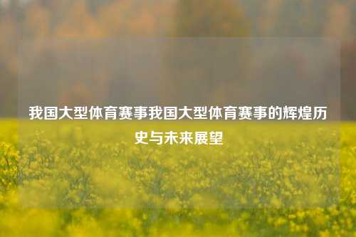 我国大型体育赛事我国大型体育赛事的辉煌历史与未来展望