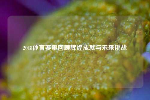 2018体育赛事回顾辉煌成就与未来挑战