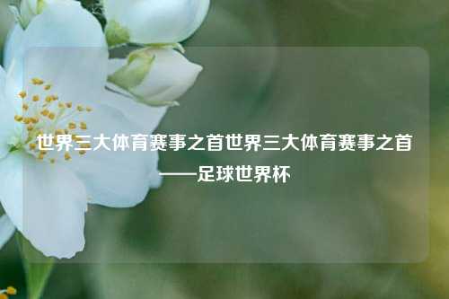 世界三大体育赛事之首世界三大体育赛事之首——足球世界杯