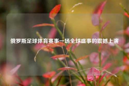 俄罗斯足球体育赛事一场全球盛事的震撼上演