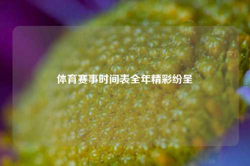 体育赛事时间表全年精彩纷呈