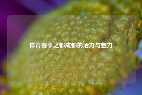 体育赛事之都成都的活力与魅力