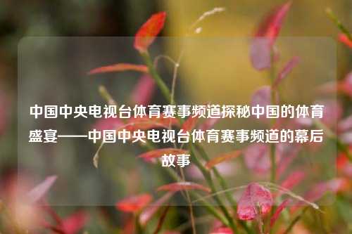 中国中央电视台体育赛事频道探秘中国的体育盛宴——中国中央电视台体育赛事频道的幕后故事