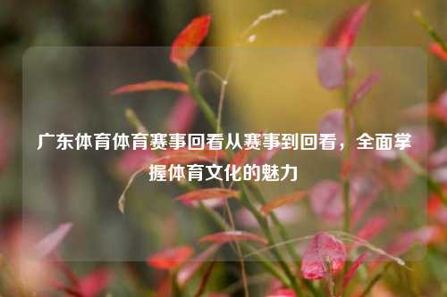 广东体育体育赛事回看从赛事到回看，全面掌握体育文化的魅力