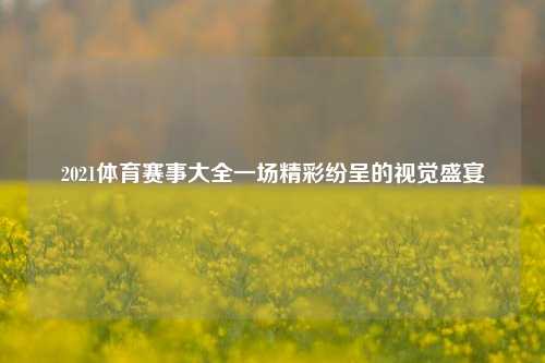 2021体育赛事大全一场精彩纷呈的视觉盛宴