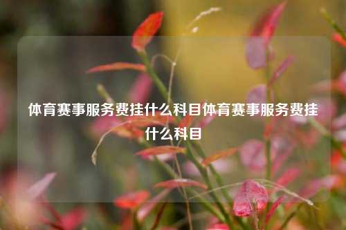 体育赛事服务费挂什么科目体育赛事服务费挂什么科目