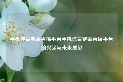 手机体育赛事直播平台手机体育赛事直播平台的兴起与未来展望