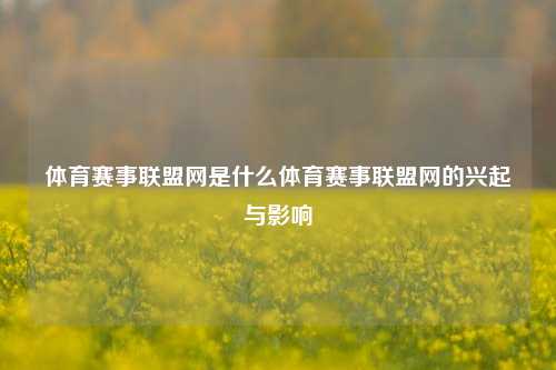 体育赛事联盟网是什么体育赛事联盟网的兴起与影响
