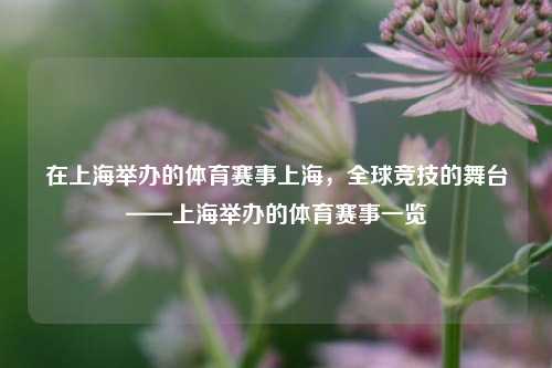 在上海举办的体育赛事上海，全球竞技的舞台——上海举办的体育赛事一览