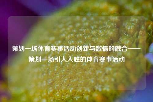 策划一场体育赛事活动创新与激情的融合——策划一场引人入胜的体育赛事活动