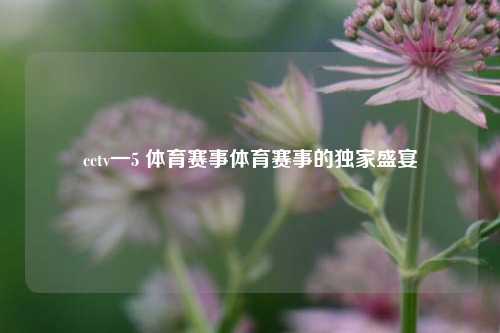 cctv一5 体育赛事体育赛事的独家盛宴