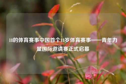 18的体育赛事中国首个18岁体育赛事——青年力量国际邀请赛正式启幕