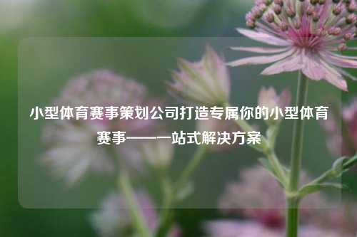 小型体育赛事策划公司打造专属你的小型体育赛事——一站式解决方案